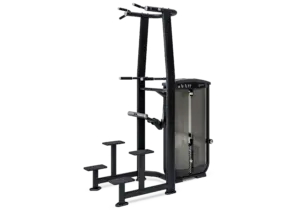 Chin Ups / Dips