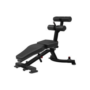 Nautilus Inspiration Adjustable Abdominal Bench Sort