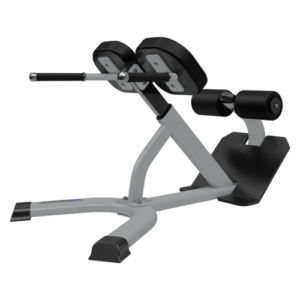 Nautilus Instinct 45 Degree Back Extension