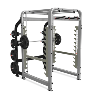 Nautilus Plate Loaded Freedom Rack