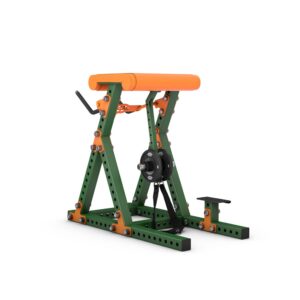 gym80 Reverse Hyper Extension